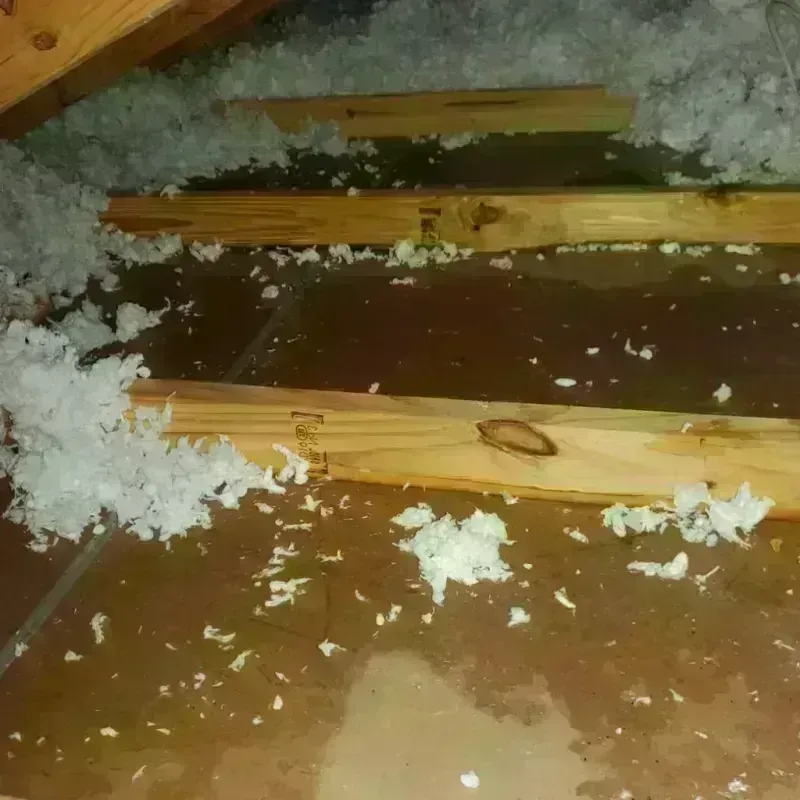 Attic Water Damage in Tucson Estates, AZ