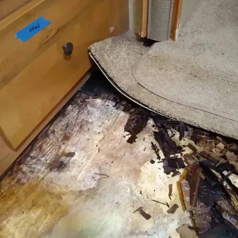 Best Wood Floor Water Damage Service in Tucson Estates, AZ